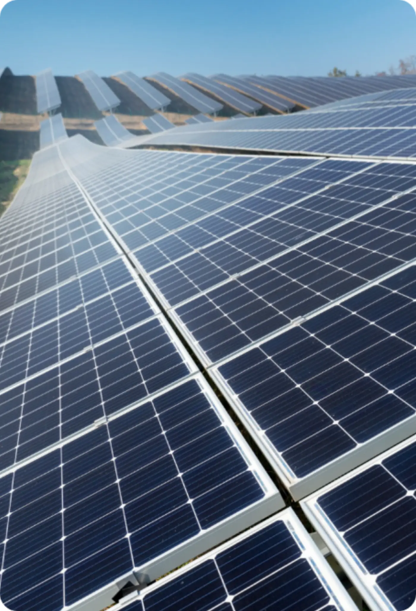 Rows of solar panels stretching to the horizon